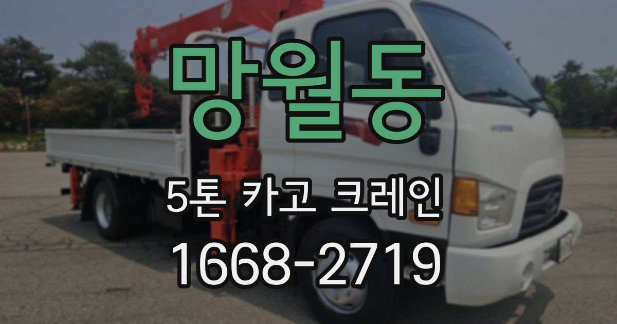 망월동 5톤 카고 크레인