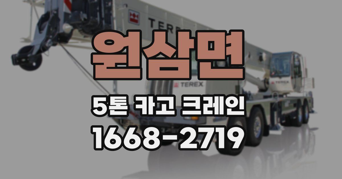 원삼면 5톤 카고 크레인