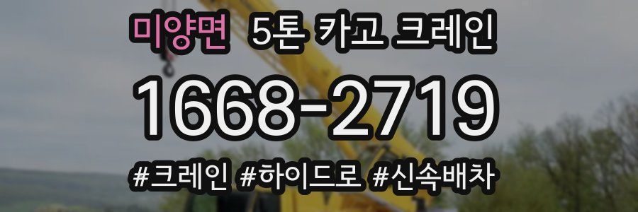 미양면 5톤 카고 크레인