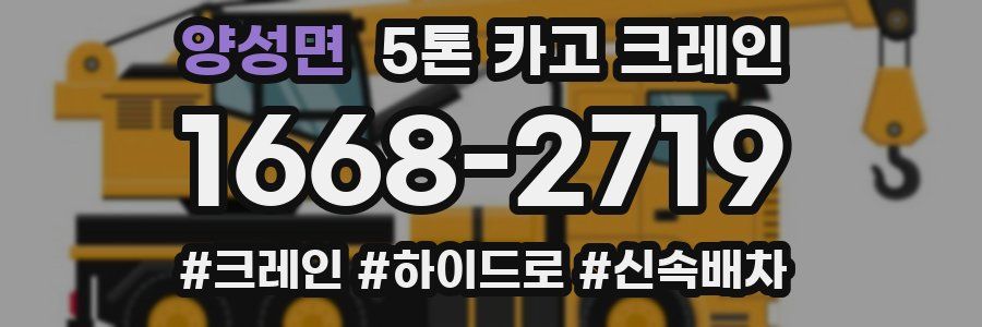 양성면 5톤 카고 크레인