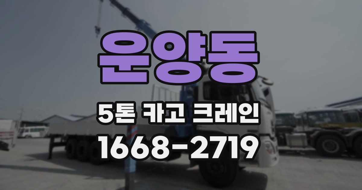 운양동 5톤 카고 크레인