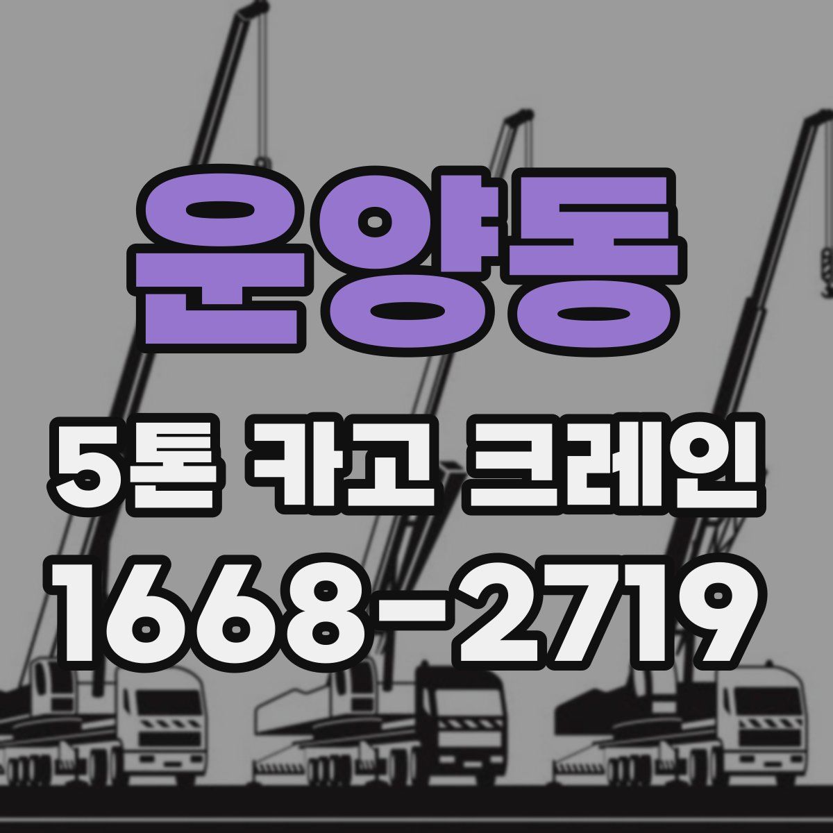 운양동 5톤 카고 크레인