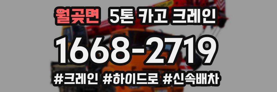 월곶면 5톤 카고 크레인