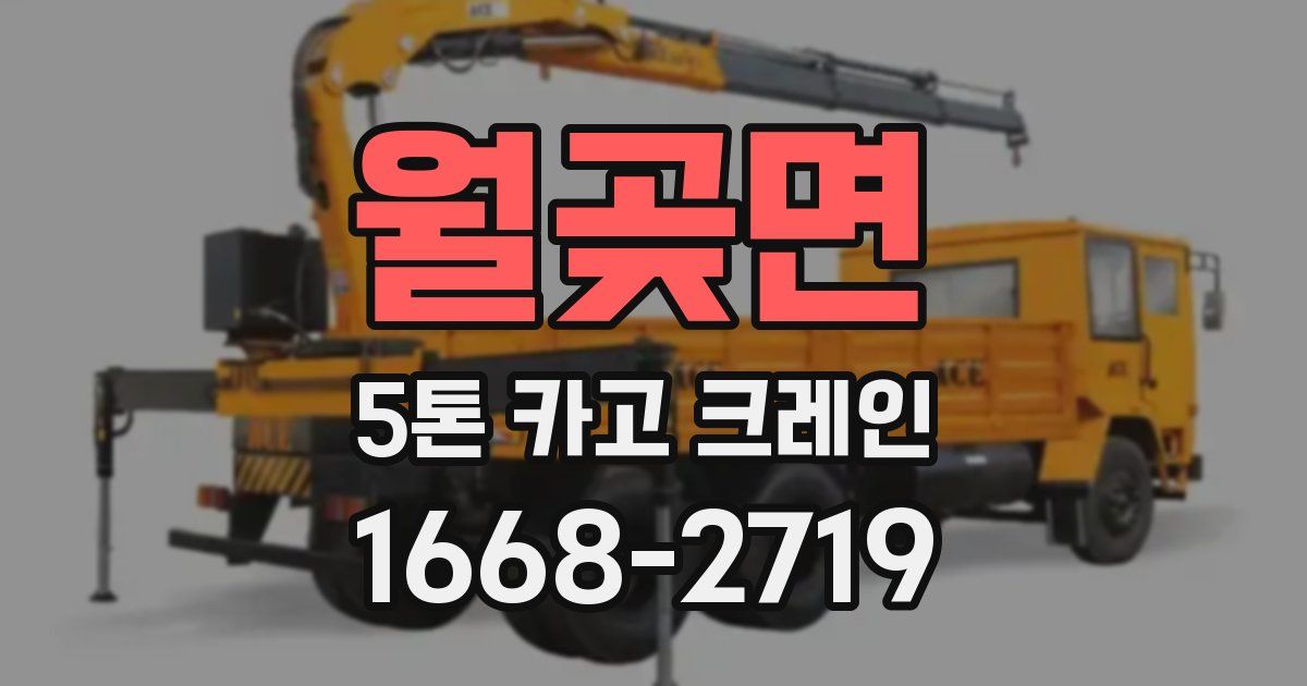 월곶면 5톤 카고 크레인