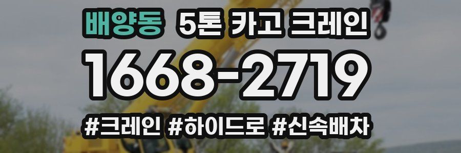배양동 5톤 카고 크레인