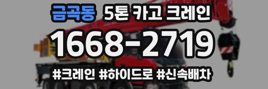 금곡동 5톤 카고 크레인