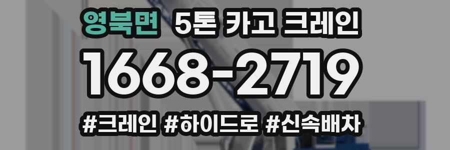 영북면 5톤 카고 크레인