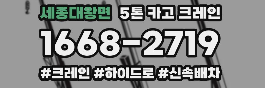 세종대왕면 5톤 카고 크레인