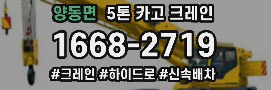 양동면 5톤 카고 크레인