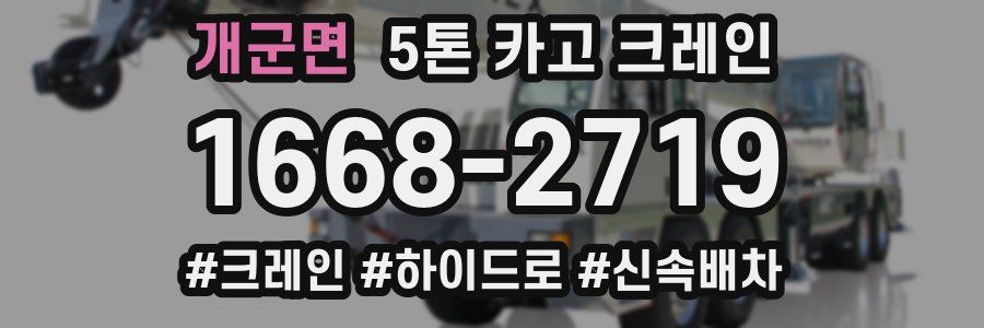 개군면 5톤 카고 크레인