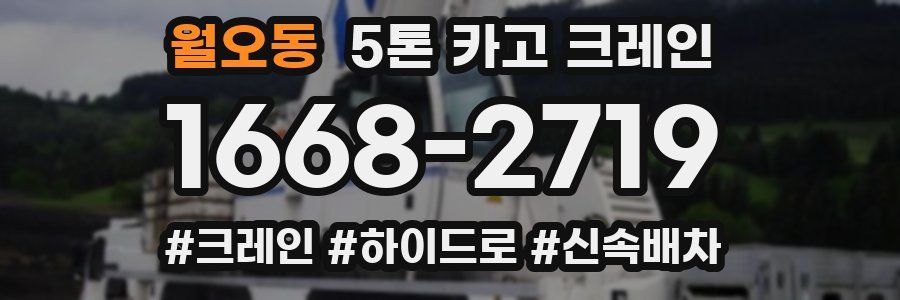 월오동 5톤 카고 크레인