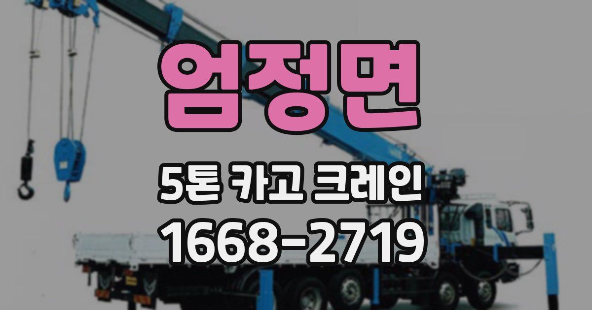엄정면 5톤 카고 크레인