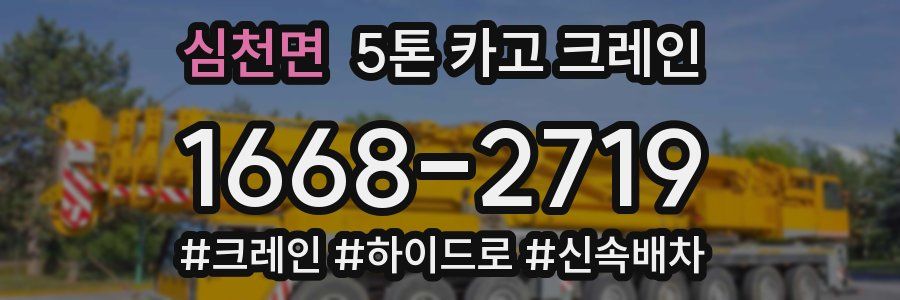 심천면 5톤 카고 크레인