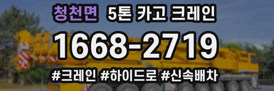 청천면 5톤 카고 크레인
