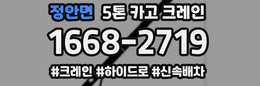 정안면 5톤 카고 크레인