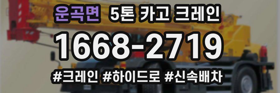 운곡면 5톤 카고 크레인