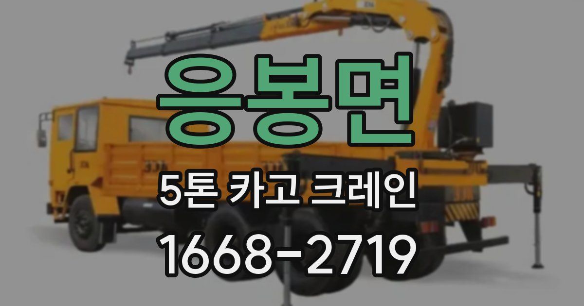 응봉면 5톤 카고 크레인