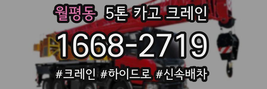 월평동 5톤 카고 크레인