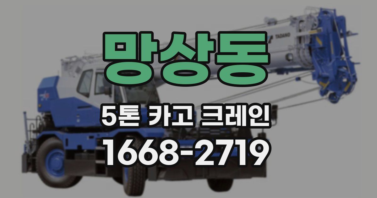 망상동 5톤 카고 크레인