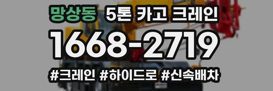 망상동 5톤 카고 크레인