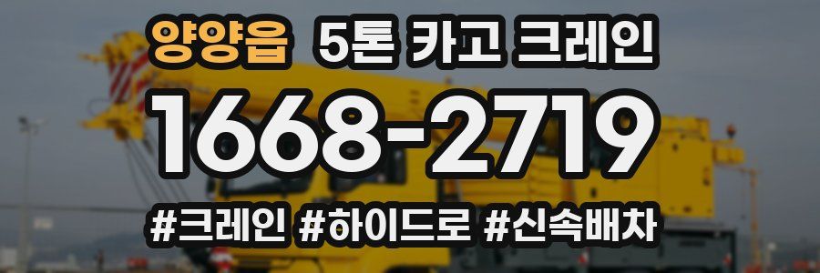 양양읍 5톤 카고 크레인