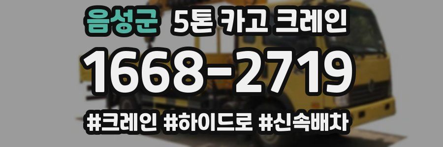 음성군 5톤 카고 크레인