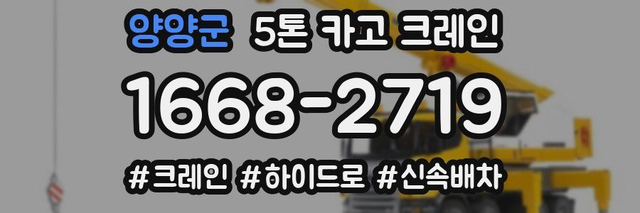 양양군 5톤 카고 크레인
