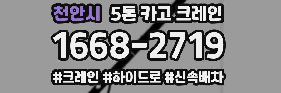 천안시 5톤 카고 크레인