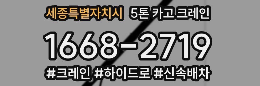 세종특별자치시 5톤 카고 크레인