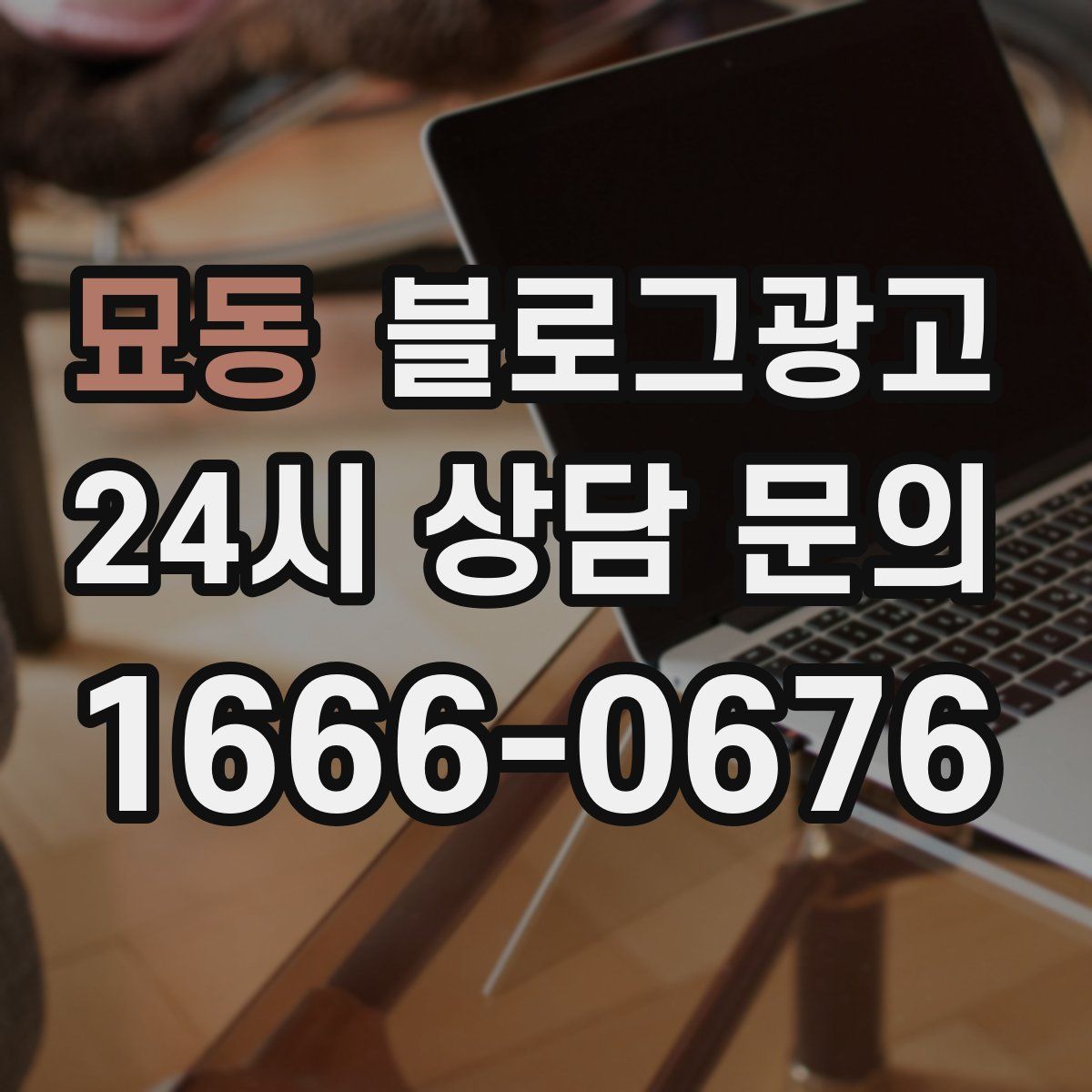 묘동 블로그 광고