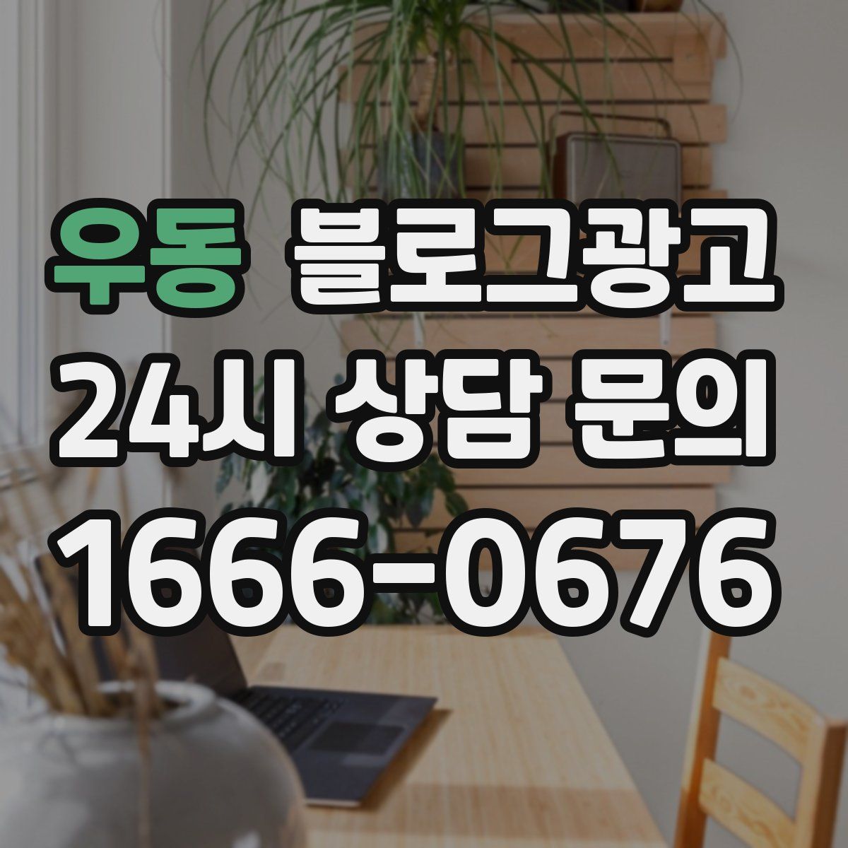우동 블로그 광고