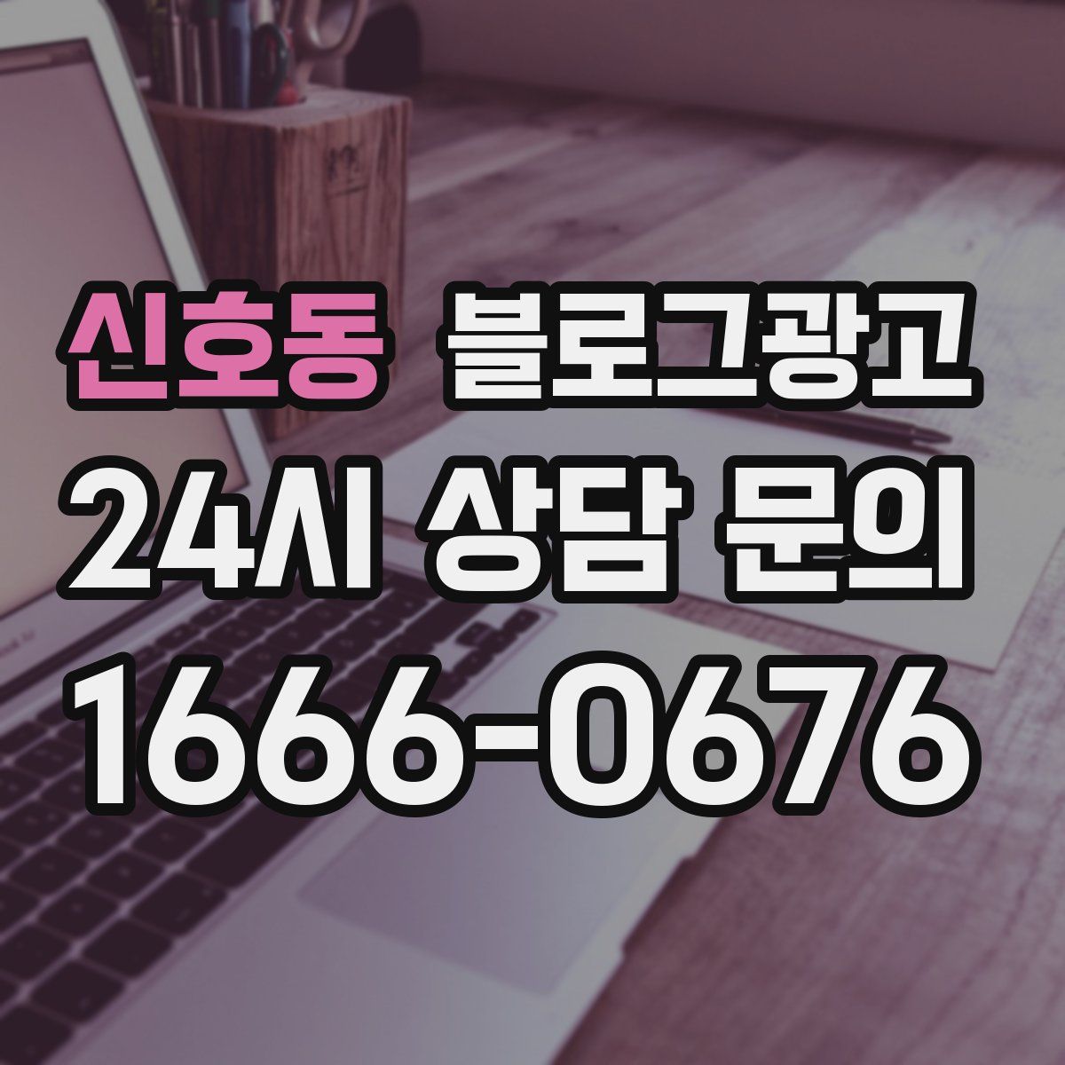 신호동 블로그 광고