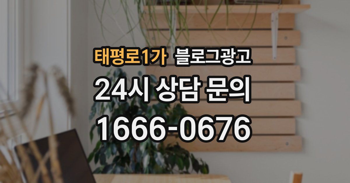 태평로1가 블로그 마케팅