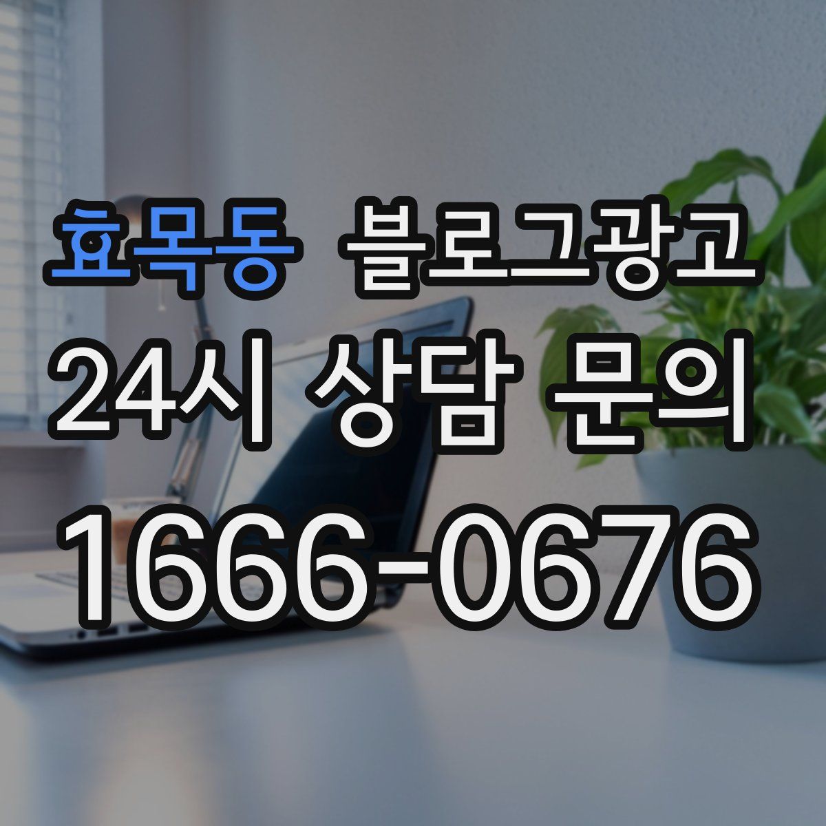 효목동 블로그 광고