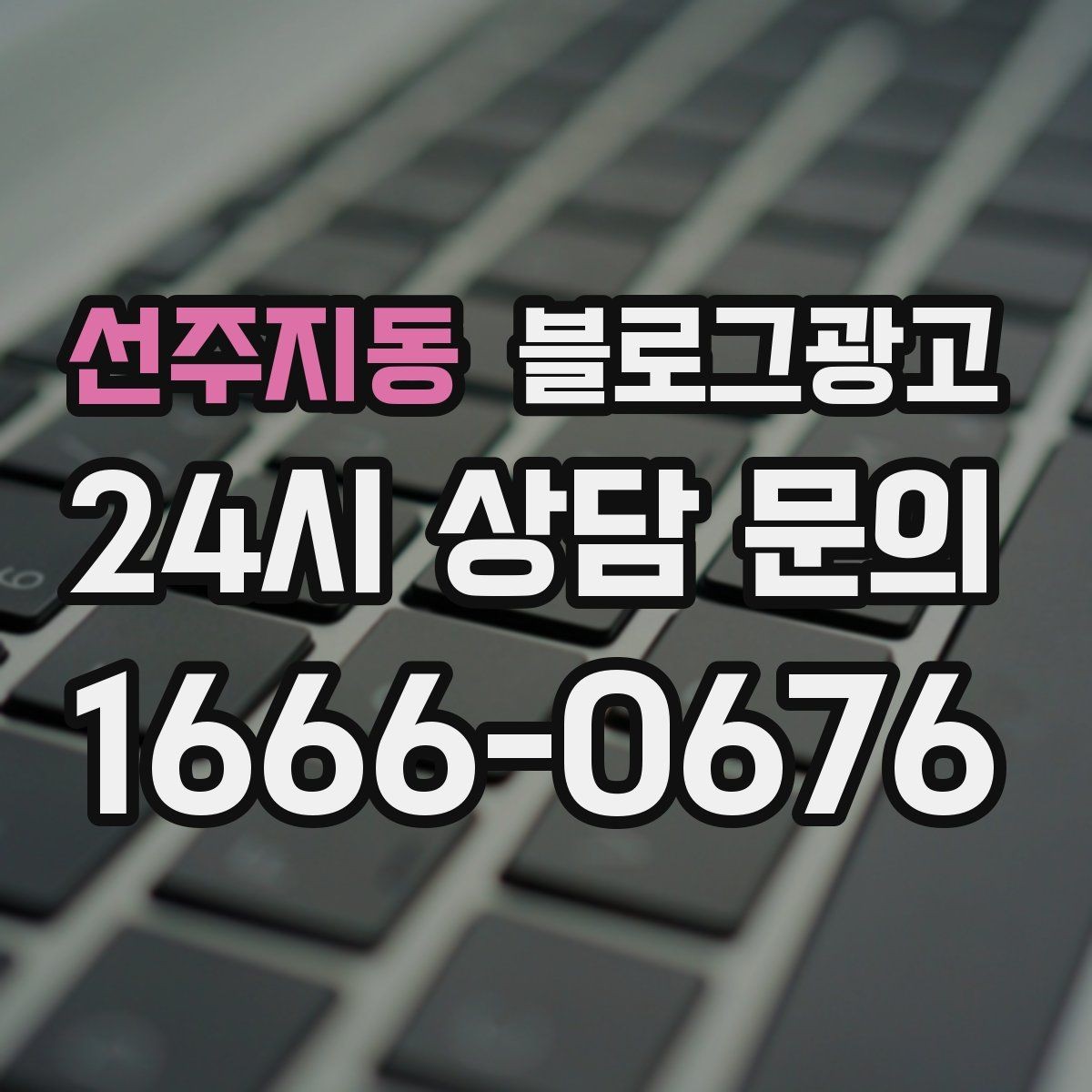 선주지동 블로그광고 천천히 꾸준히 쌓을수록 힘을 발휘하는 자산