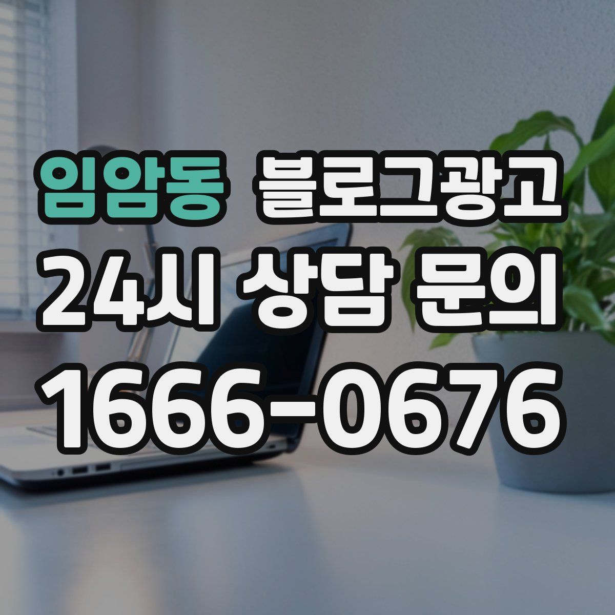 임암동 블로그 광고
