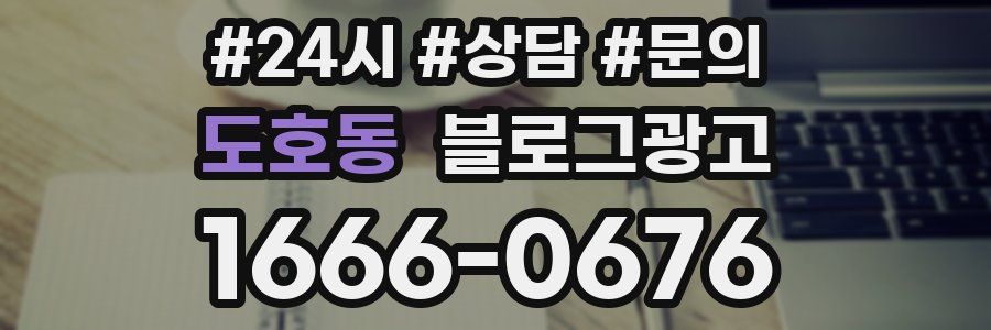 도호동 브랜드 블로그