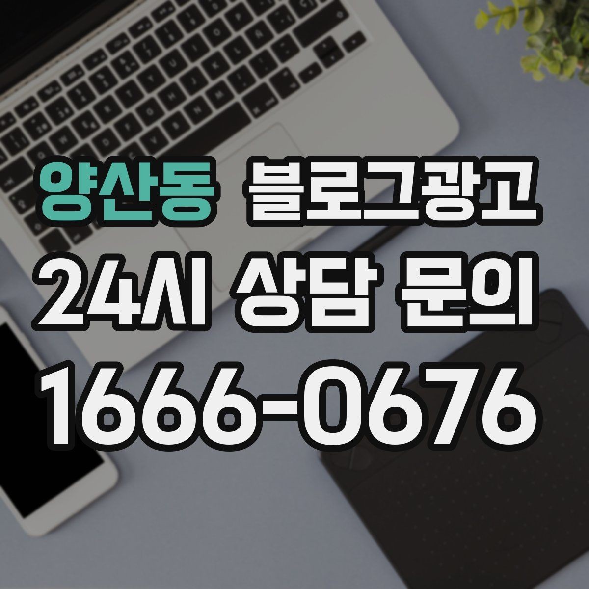 양산동 블로그광고 배달 매출을 키우는 메뉴 설명과 사진 활용
