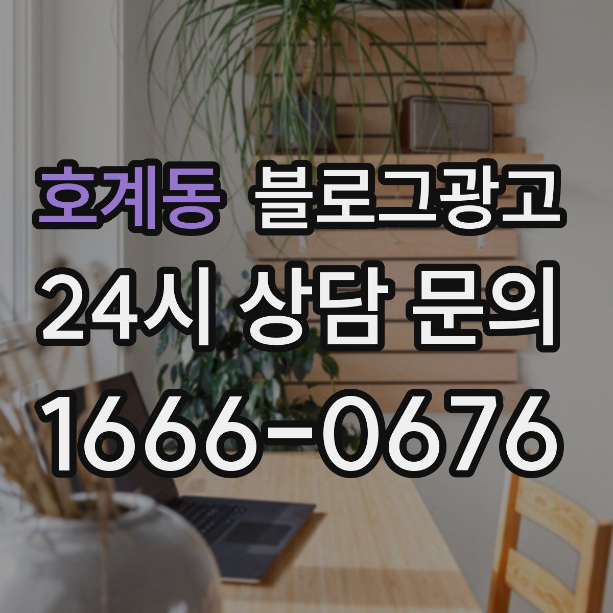 호계동 블로그 광고