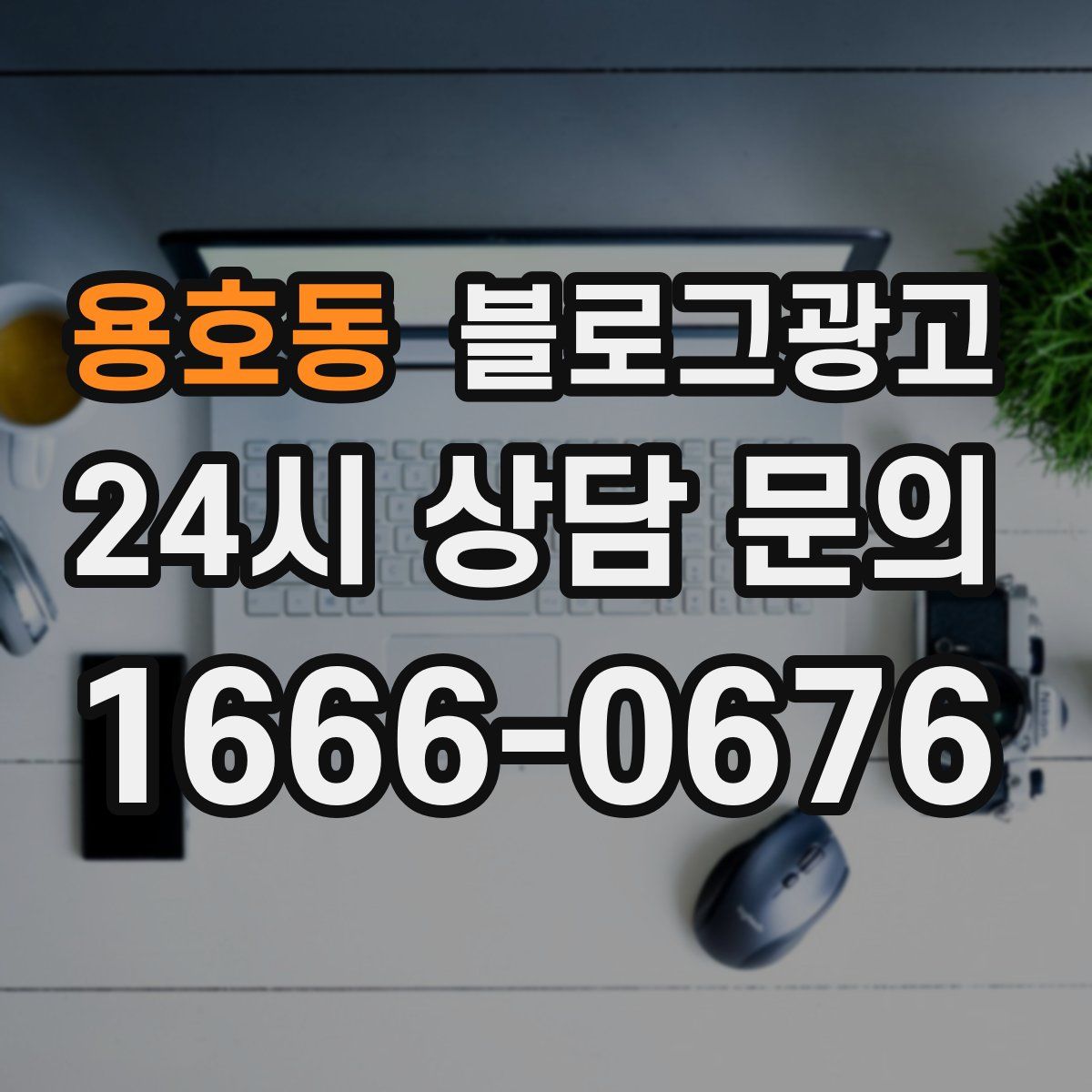 용호동 블로그 광고