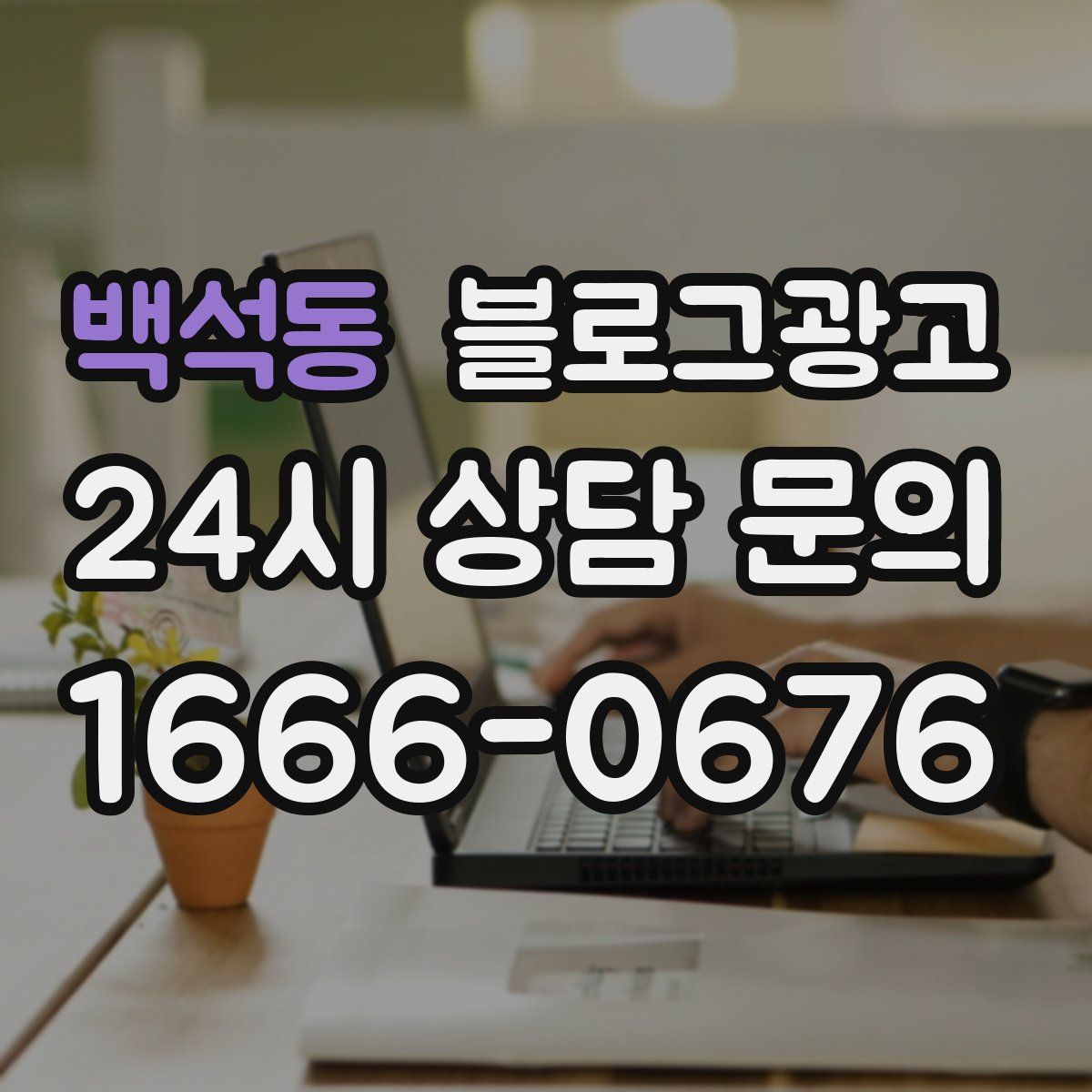 백석동 블로그 광고