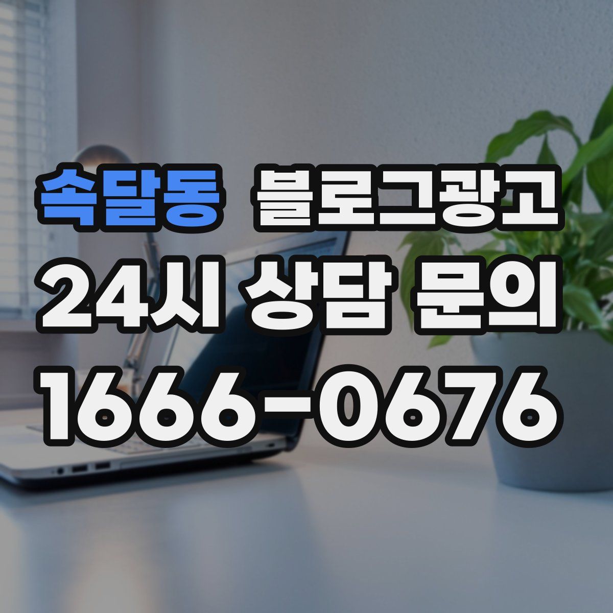 속달동 블로그 광고
