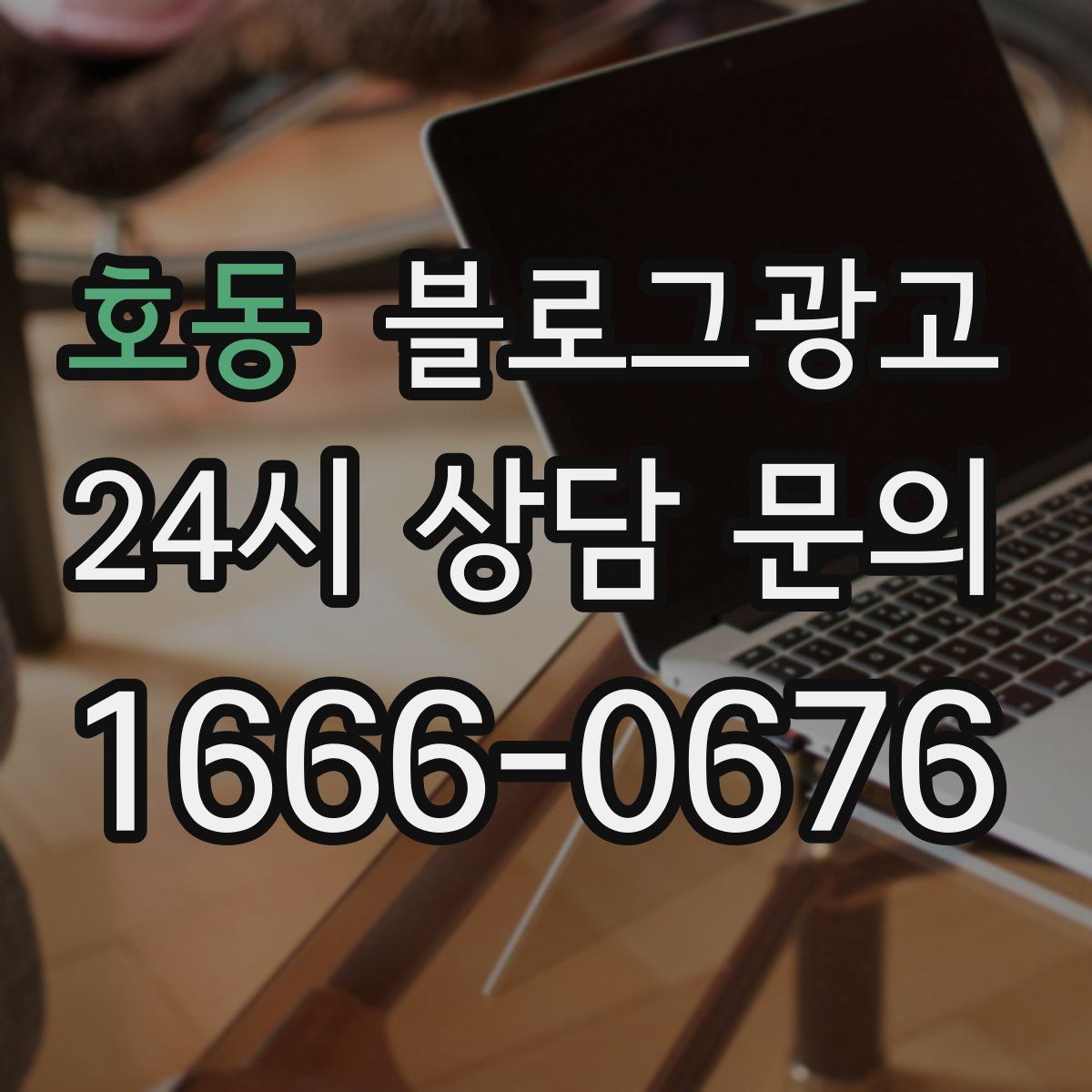 호동 블로그 광고