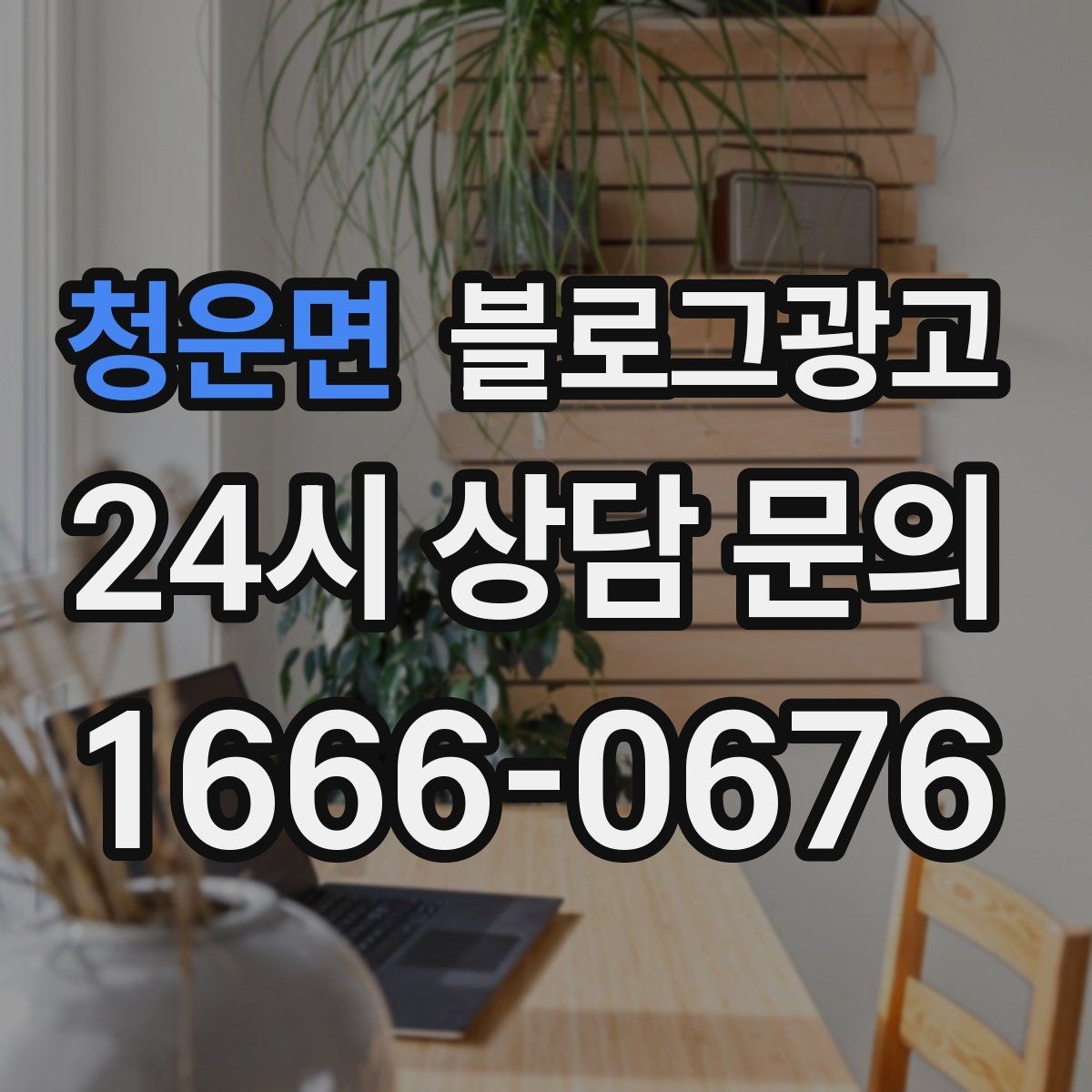 청운면 블로그광고 시험 기간 학생 손님을 위한 집중 공간 제안