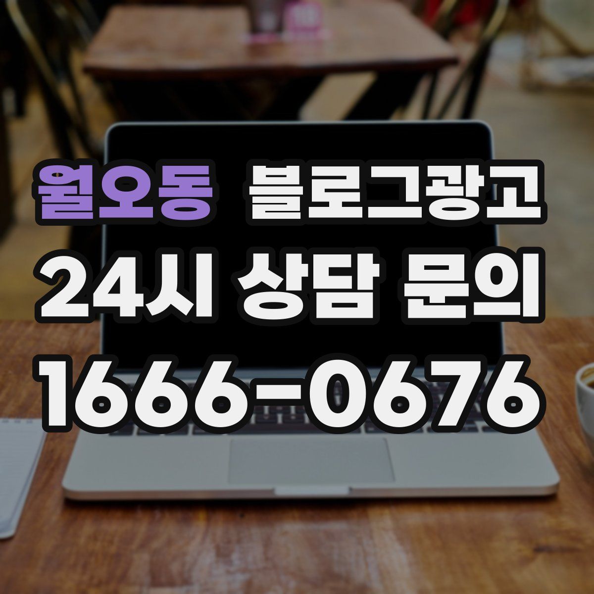 월오동 블로그 광고