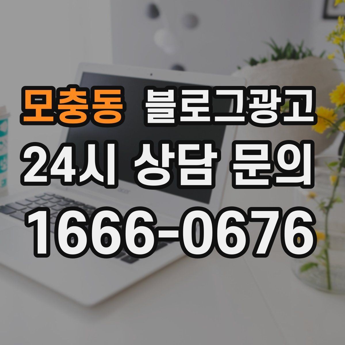 모충동 블로그광고 반려동물 병원 미용샵 보호자 안심 포인트 정리