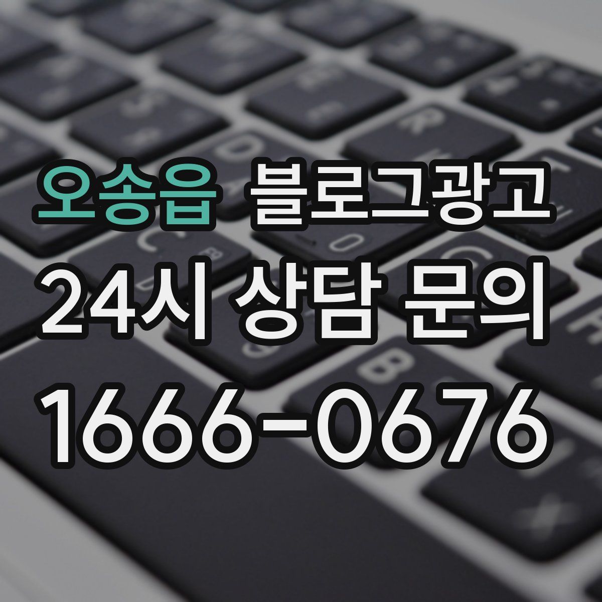 오송읍 블로그 광고