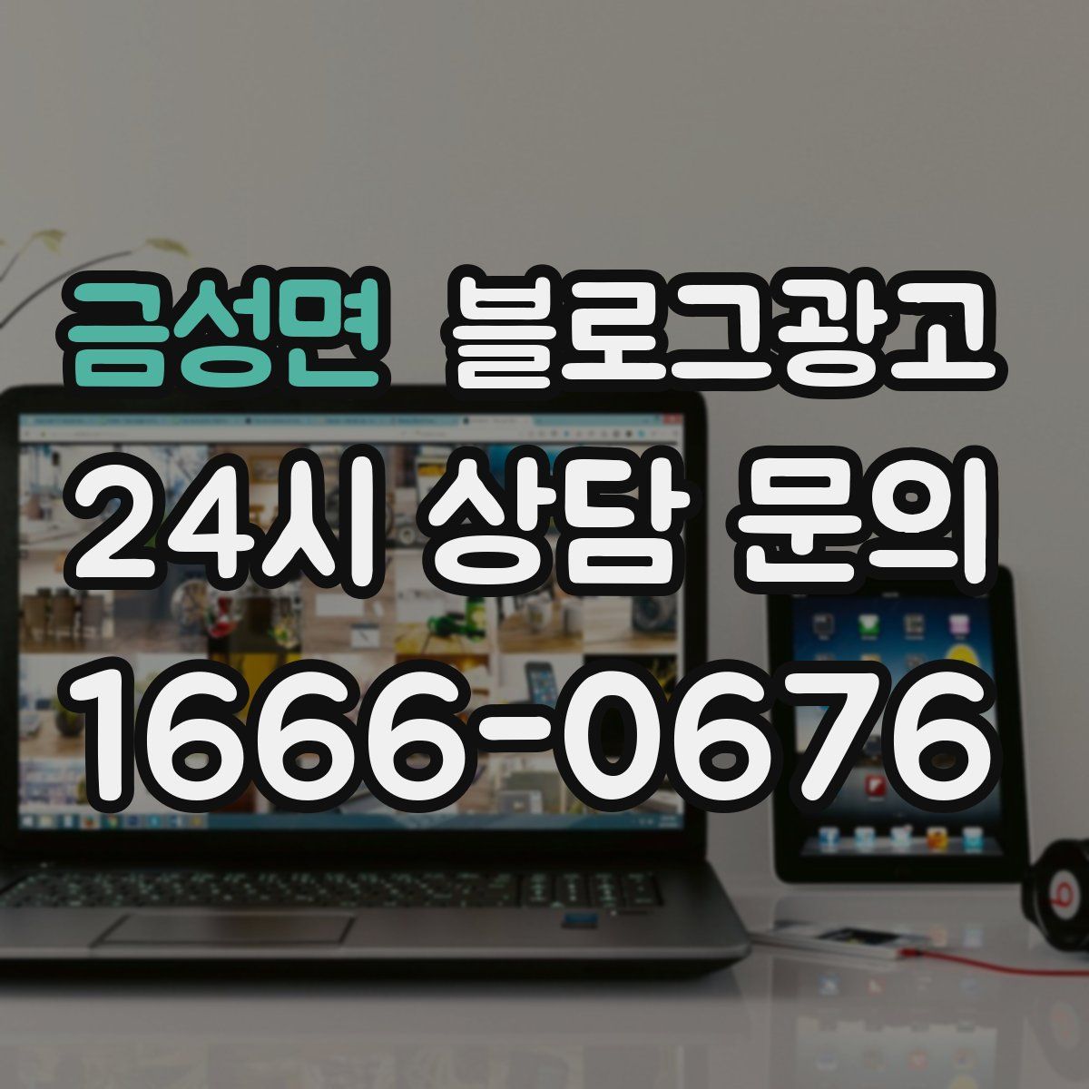 금성면 블로그 광고