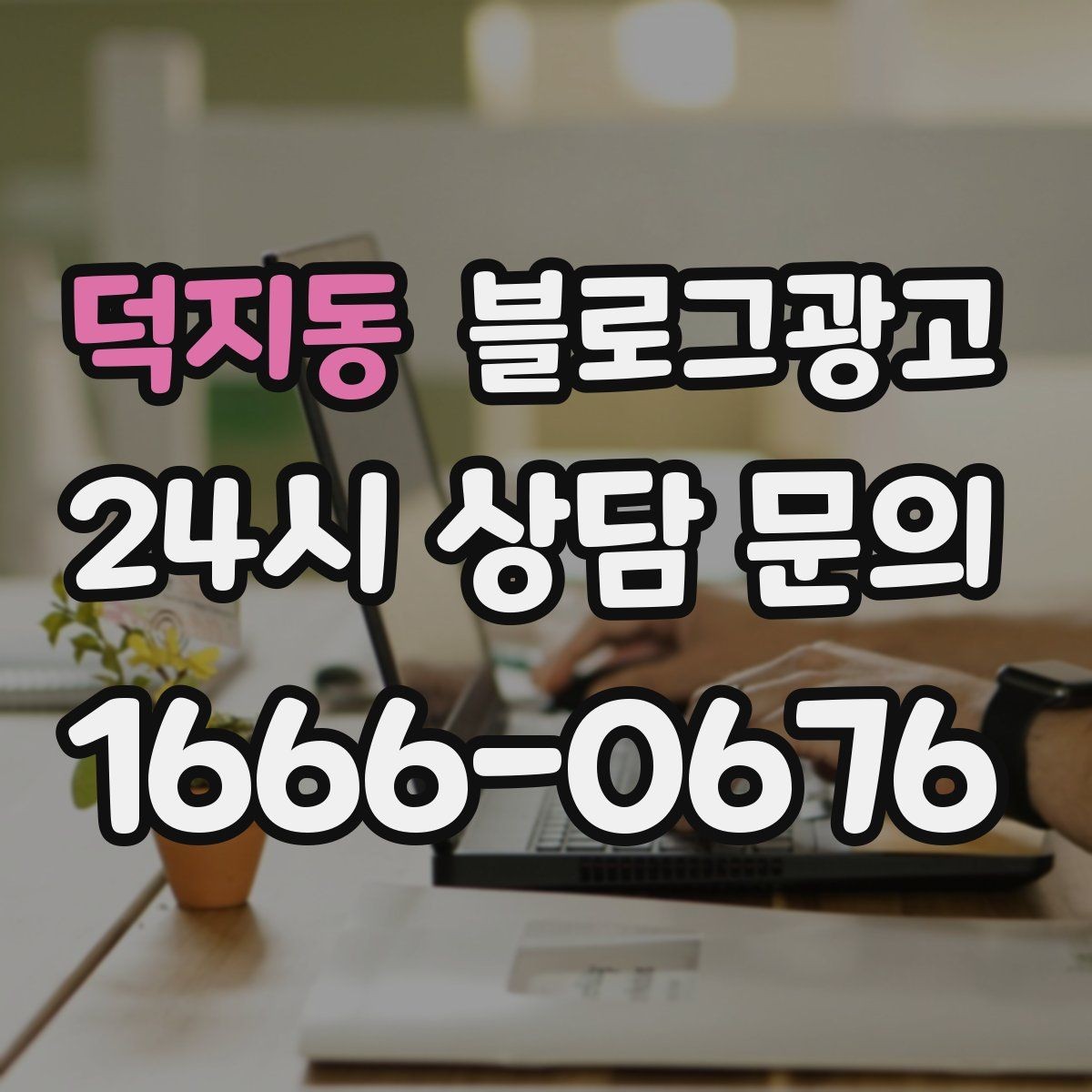 덕지동 블로그광고 테이크아웃 전용 메뉴를 따로 알려 주는 법