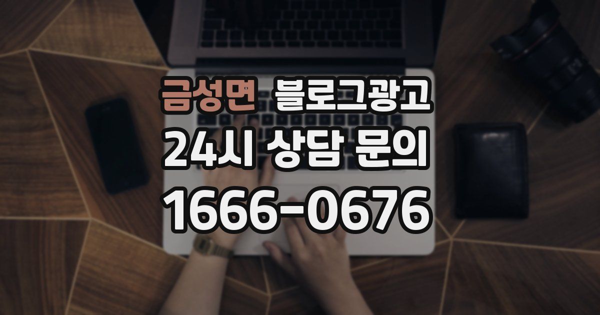 금성면 블로그 마케팅